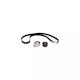 Alfa Romeo Gtv 916c Timing Belt Kit Dayco Ktb329