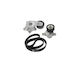 Set Belt Drive Citroen C4 Grand Picasso I Ua Dayco Kpv178
