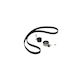 Timing Belt Kit Fiat Idea 350 Dayco Ktb317