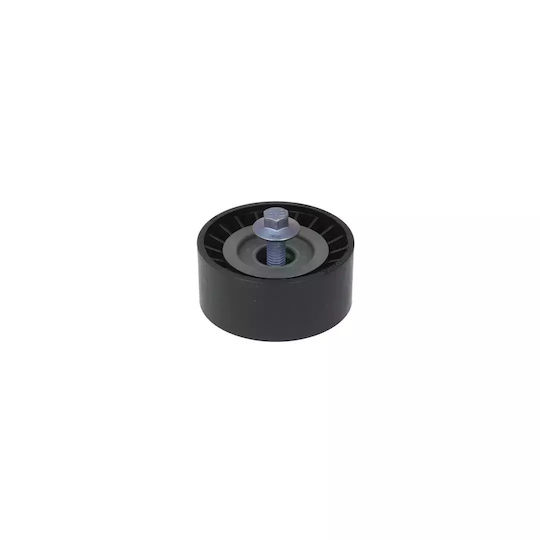Guide Roller Lancia Musa 350 Dayco Apv1091