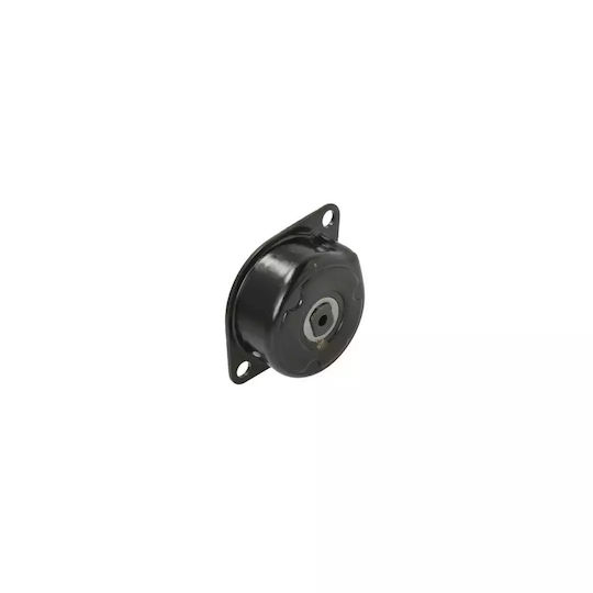 Tensiunea curelei Vw Vento 1h2 Dayco Apv2248