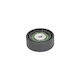 Dacia Sandero Dayco Apv2164 Guide Roller