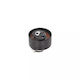 Spannrolle Land Rover Discovery III LA TAA Dayco ATB1013
