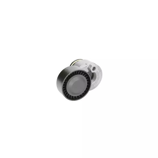 Spannrolle Renault Grand Scenic II JM0 1 Dayco APV2323
