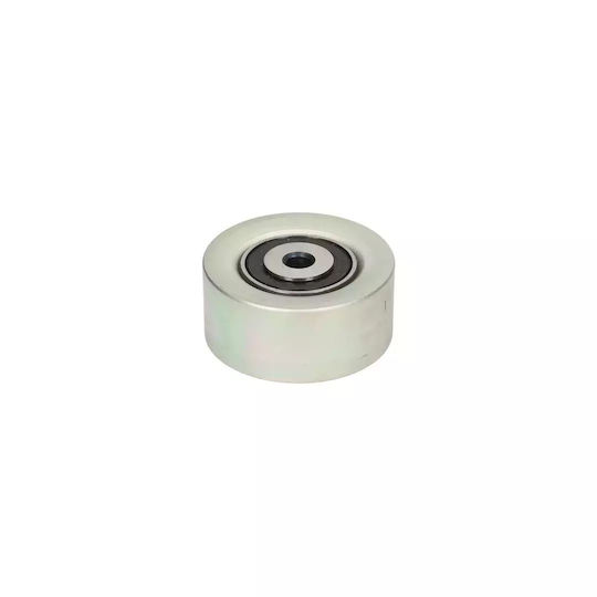 Guide Roller Citroen C2 Jm Dayco Apv2065