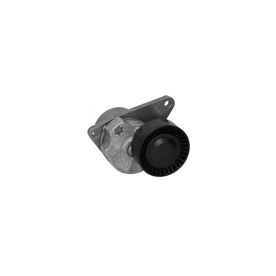 Volvo V70 II SW Dayco Riementensioner