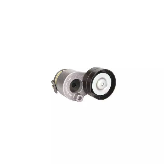 Tensiunea curelei Renault Grand Scenic II JM0 1 Dayco APV2498