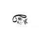 Kit curea de distribuție Seat Alhambra 7v8 7v9 Dayco Ktb415