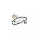 Water Pump Set + Timing Belt Ford Kuga Ii Dm2 Dayco Ktbwp9480