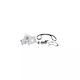 Water Pump Set + Timing Belt Toyota Avensis Sedan T25 Dayco Ktbwp9650