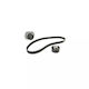 Water Pump Set + Timing Belt Fiat Albea 178 Dayco Ktbwp2853