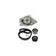 Water Pump Set + Timing Belt Peugeot Partner Combispace 5f Dayco Ktbwp1960