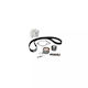 Water Pump Set + Timing Belt Volvo V50 Mw Dayco Ktbwp5920