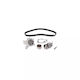 Water Pump Set + Timing Belt Hyundai I30 Fd Dayco Ktbwp9661