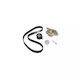 Water Pump Set + Timing Belt Nissan Qashqai Qashqai +2 J10 Jj10 Dayco Ktbwp5321