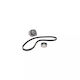 Water Pump Set + Timing Belt Fiat Seicento 600 187 Dayco Ktbwp2920