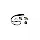 Water Pump Set + Timing Belt Fiat Stilo 192 Dayco Ktbwp3170