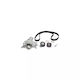 Set pompa de apă + curea de distribuție Peugeot 307 Cc 3b Dayco Ktbwp3442