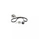 Water Pump Set + Timing Belt Citroen Zx N2 Dayco Ktbwp1651