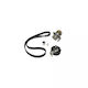 Water Pump Set + Timing Belt Vw Golf Iv Variant 1j5 Dayco Ktbwp4831