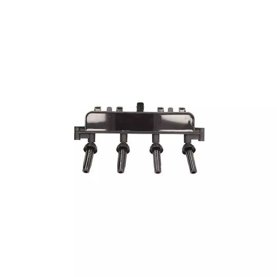 Peugeot Partner 5 Body Induction Coil Beru Zs381