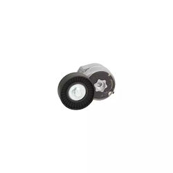 Keilrippenriemenspanner Ford Transit Tourneo Dayco Apv2497