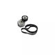 Set Transmission Belt Peugeot 308 4a 4c Dayco Kpv264