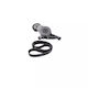 Set Getriebegürtel Seat Altea Xl 5p5 5p8 Dayco Kpv250