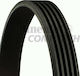 Continental Poly-v Contitech Ремък за автомобилни двигатели за BMW E36 5PK1815