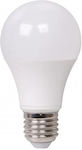 Λάμπα LED για Ντουί E27 Ψυχρό Λευκό