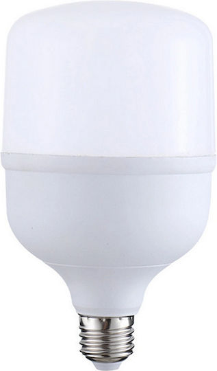 LED-Lampe 10W für Fassung E27 Kühles Weiß