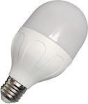 LED Lampen für Fassung E27 Kühles Weiß 1Stück