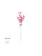 Bougainvillea Fuchsie 115cm in Box GloboStar