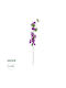 Bougainvillea Lila 80cm in Box GloboStar