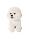 Decorative Dog Polyresin 19x12x19.5cm 1pcs