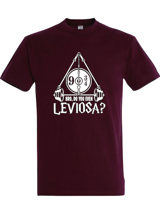 Tricou Unisex "Harry Potter Bro Do You Even Lev...