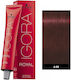 Schwarzkopf Igora Royal Hair Dye 4-88 Chestnut Medium Bright Red 60ml