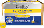 Activeshop Capillus Serum 12x 10ml