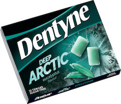 Dentyne 12 Kaugummis Deep Arctic mit Geschmack Eycalyptus Ohne Zuckerzusatz 16,8gr