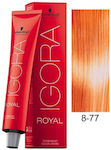 Schwarzkopf Igora Royal Βαφή Μαλλιών 8-77 Ξανθό Ανοιχτό Έντονο Χάλκινο 60ml