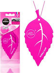 Car Air Fresheners