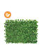Marhome Artificial Foliage in Trellis 2x1m