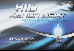 Secdem Xenon Beleuchtungsset H11 12V Secdem Xenon Beleuchtungsset H11 12V