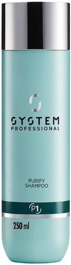 System Professional Derma Purify P1 Σαμπουάν κατά της Πιτυρίδας για Όλους τους Τύπους Μαλλιών 250ml
