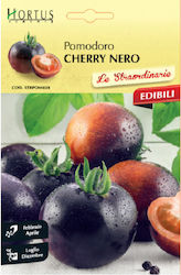 Black Cherry Tomato Seed 1pc