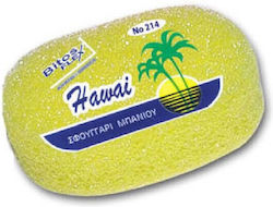 Bitos Flex Sponge for Exfoliation 1pcs