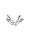 Bohemia Quadron Decorative Bowl Transparent 33x33cm
