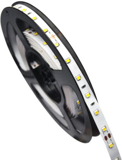 Eco Light LED Лента 12V Неутрално бяло Светлина 5м Тип SMD2835