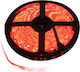 Eco Light LED Strip 12V Red Light 5m Type SMD2835