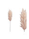 Marhome Τεχνητό Διακοσμητικό Κλαδί Pampas grass 86cm